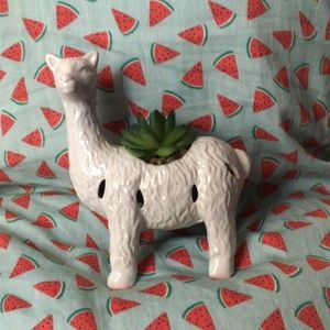 Ceramic llama succulent